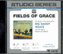 Fields Of Grace - Big Daddy Weave - CD
