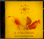 A Collision - David Crowder Band