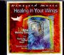 Healing In Your Wings- Dan Wilt / Vineyard